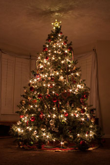 christmas-tree-226543_300