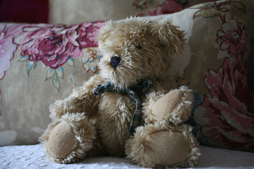 teddy-439127_500