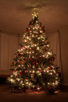 christmas-tree-226543_300 christmas-tree-226543_300