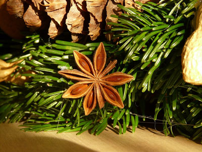 star-anise-80023_400