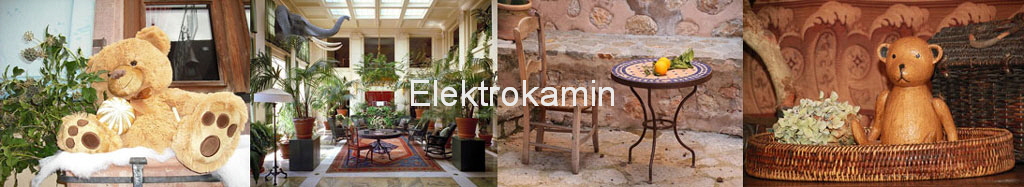 Elektrokamin