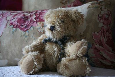 teddy-439127_400