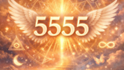5555 Bedeutung